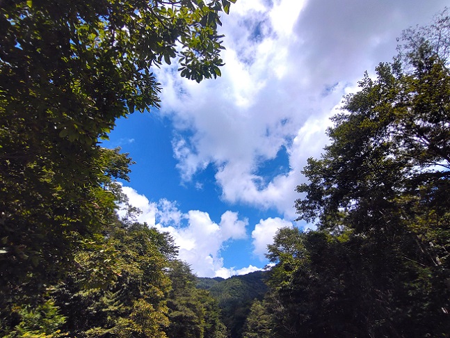 今回もドキドキしながら目的地に向かいますが・・・